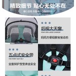 Baby Stroller Supplier - OEM 4 in 1 Leather French Logo 4 Wheels for Twins