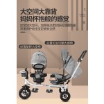 Double Baby Stroller Manufacturer - Hot Sale Good Quality Two Models Easy Foldable