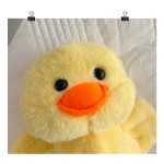 Plush Toy Bag Charm Supplier - Capybara Beetle Croissant Parrot Lion Accessories