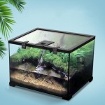 Reptile Tank - Terrarium Ecology Box