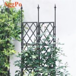 Garden Trellis - Climbing Plant Support