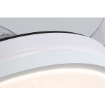 Ceiling Fan - 42 Inch Remote Control Light