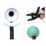 Desk Lamp - Flexible Hose Clip On