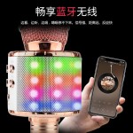 Wireless Microphone - Karaoke LED Light