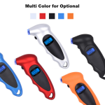 Tire Inflator - Digital Gauge 100 PSI