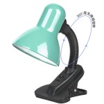 Desk Lamp - Flexible Hose Clip On
