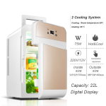 Mini Fridge - 20L Compact Cooler Warmer AC/DC
