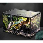 Reptile Tank - Terrarium Ecology Box
