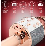 Wireless Microphone - Karaoke LED Light