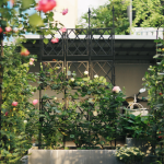 Garden Trellis - Climbing Plant Support