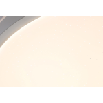 Ceiling Fan - 42 Inch Remote Control Light