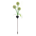 Garden Light - Solar Dandelion LED Outdoor