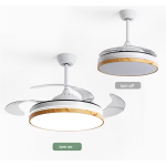 Ceiling Fan - 42 Inch Remote Control Light