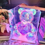 LED Teddy Bear - USB Glowing Film