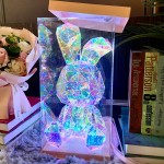 LED Teddy Bear - USB Glowing Film