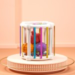 Activity Cube - Baby Sensory Shape Sorting