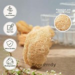Custom Loofah Sponge Manufacturer - Natural Organic Exfoliating Shower Bath Sponge
