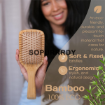 Custom Hair Brush Set Manufacturer - Bamboo Detangling Scalp Massager Comb Set