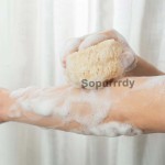 Custom Loofah Sponge Manufacturer - Natural Organic Exfoliating Shower Bath Sponge