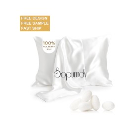 Custom Silk Pillowcase Manufacturer - 22 Momme 6A Grade Silk Pillow Cover