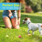Custom Dog Toy Factory - Mini Tennis Balls for Dogs Interactive Squeaky Toy