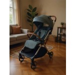 Premium Stroller - 4 Canopy Sand Finish