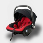 Baby Safety Seat - 2 Way Installation