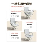 Baby Swing Chair - 180 Recline Adjustable