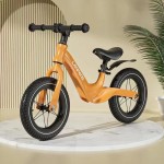 Balance Training Bike - 2 Wheels No Pedal