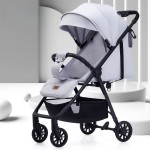 Twin Stroller - Removable Rear Seat