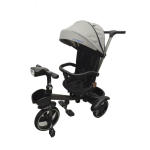 2 in 1 Tricycle - Balance Bike Convertible