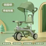 5 in 1 Scooter - Converts 5 Modes Adjustable