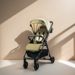 Twin Stroller - Removable Rear Seat
