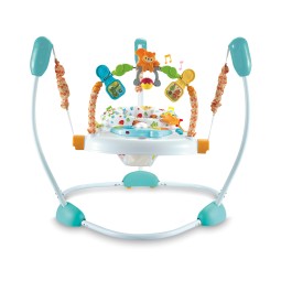 Activity Center - Height Adjustable Indoor