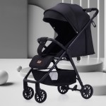 Twin Stroller - Removable Rear Seat