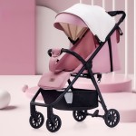 Twin Stroller - Removable Rear Seat