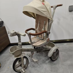 2 in 1 Tricycle - Balance Bike Convertible