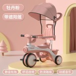 5 in 1 Scooter - Converts 5 Modes Adjustable