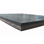 Industrial Conveyor Belt - Coal Ore Transport