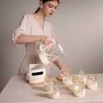 Baby Formula Milk Maker Factory - Household Temperature Control Glass Kettle