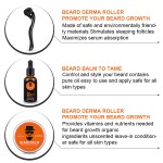 Beard Growth Oil Set Factory - 5 Pcs Private Label Organic Beard Growth Oil Set for Men