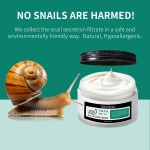 Face Serum Set Factory - 4 in 1 Whitening Serum With Vitamin C Niacinamide E Set