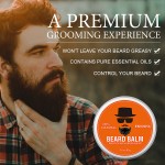 Beard Growth Oil Set Factory - 5 Pcs Private Label Organic Beard Growth Oil Set for Men