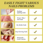 Healing Ointment Cream Manufacturer - Natural Dry Hand Feet Cracked Skin Moisturizer Cream