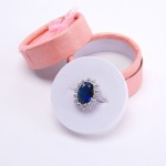 Jewelry Organizer Supplier - Bowknot Earring Rings Box
