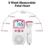 Baby Doppler Supplier - Portable Fetal Heartbeat Monitor