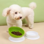 Pet Food Bowl Manufacturer - Raised Elevated Slow Feeder