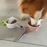 3 in 1 Pet Bottle Manufacturer - Food Container Poop Bag Holder