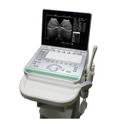 Portable Ultrasound Manufacturer - Veterinary Cat Dog Machine