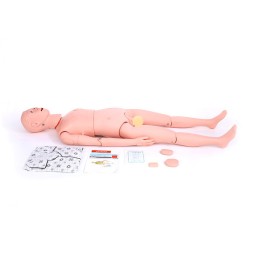 CPR Training Manikin Manufacturer - Cardiopulmonary Resuscitation Model